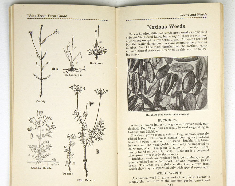 Pine Tree Farm Guide (1935)