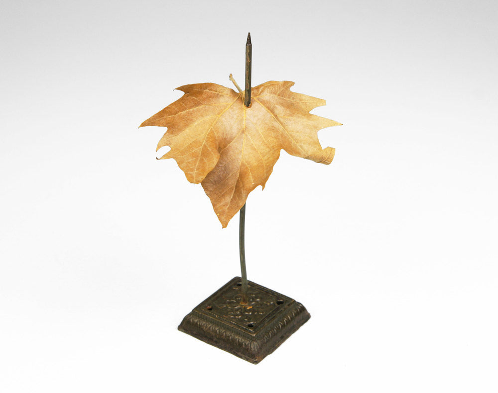 Early 1900's Receipt Spike