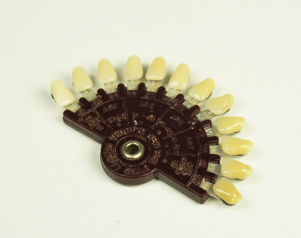 1940's Trubyte New Hue Dental Vitality Scale